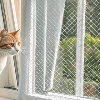 Protection chat pour fenetres baie vitree