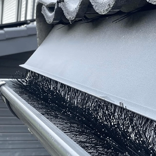 brosse gouttière anti pigeon
