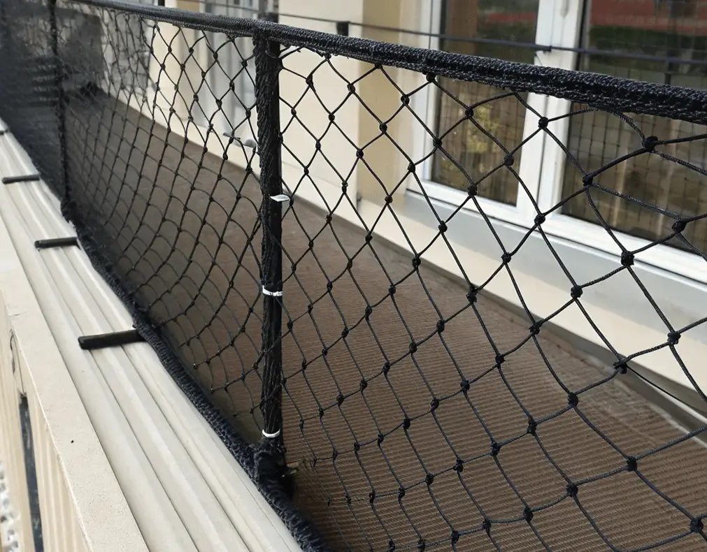 installation filet de protection chat